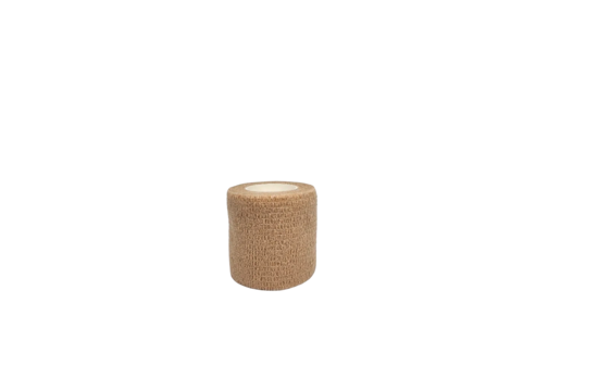 20230120-160007-clipdrop-background-removal
