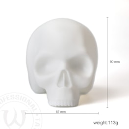 Silicone Skull